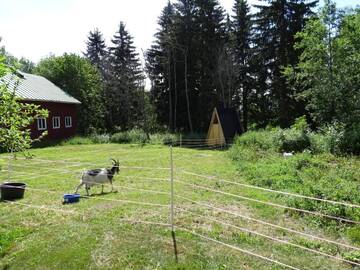 Фото номера Двухместный номер с 1 кроватью Кемпинги Triangle Cabin г. Laitila 4